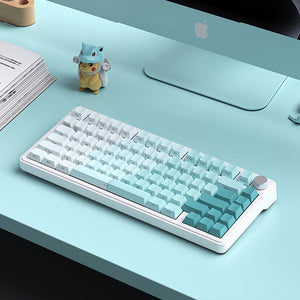ACGAM Side Print Gradient Keycap Set Cherry Profile 121 keys Multiple Colors