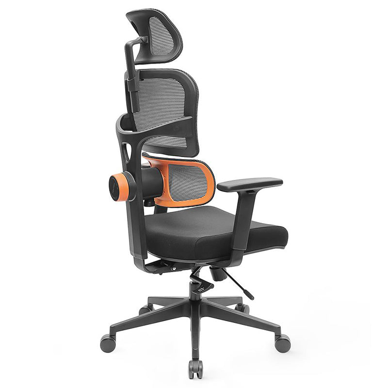 Computer chairs with back support discount