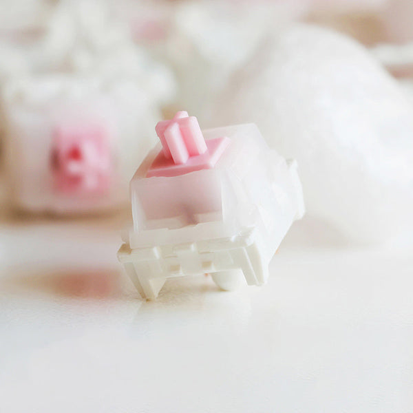 ACGAM x Space Studio Loopy Linear Switches