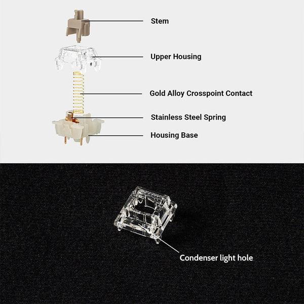 Gateron Baby Raccoon Linear Switches