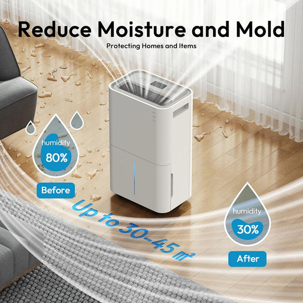 LUKO D031A 2-in-1 Dehumidifier & Air Purifier 12L/20L Daily Moisture Removal