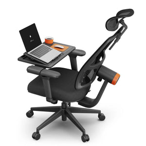 NEWTRAL MAGICH002 Ergonomic Office Chair with Adaptive Lower Back Support