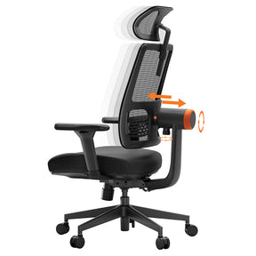 NEWTRAL MAGICH002 Ergonomic Office Chair with Adaptive Lower Back Support