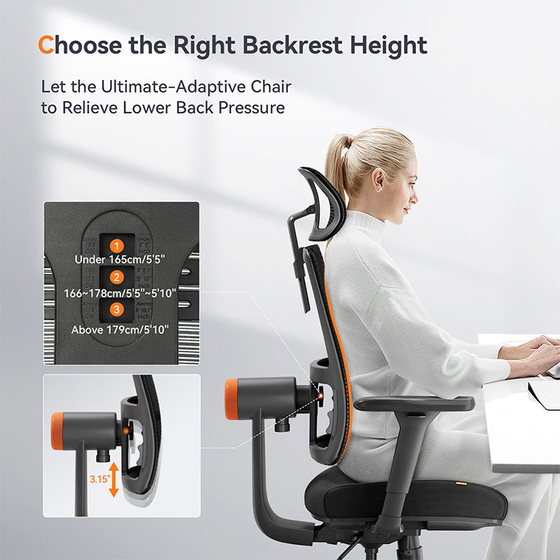 NEWTRAL MAGICH002 Ergonomic Office Chair with Adaptive Lower Back Support