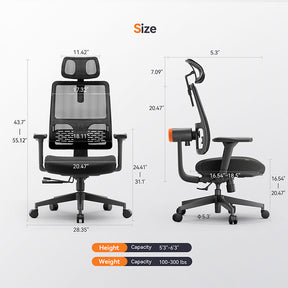 NEWTRAL MAGICH002 Ergonomic Office Chair with Adaptive Lower Back Support