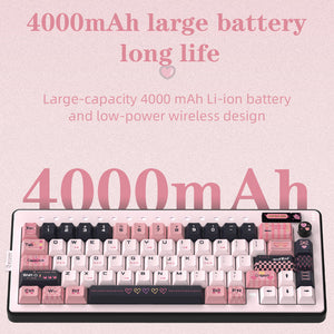 Reccazr Plane66 Aluminum Wireless DIY Kit