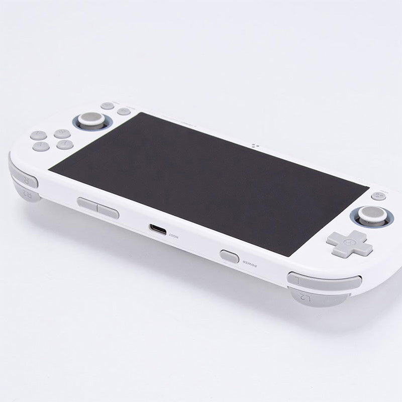 TRIMUI Smart Pro Handheld Game Console