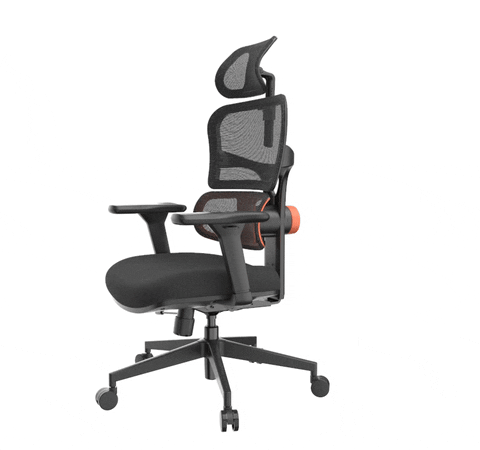 NEWTRAL NT001 Ergonomic Chair Adaptive Lower Back Support