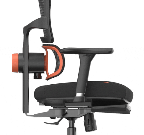NEWTRAL NT001 Ergonomic Chair Adaptive Lower Back Support