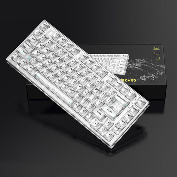 ACGAM Xinmeng X75 Transparent Wired Mechanical Keyboard