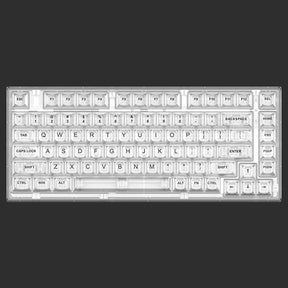 ACGAM Xinmeng X75 Transparent Wired Mechanical Keyboard