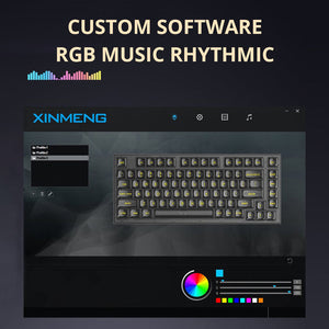 ACGAM Xinmeng X75 Transparent Wired Mechanical Keyboard