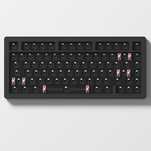 Akko ACR Pro 75 DIY Kit