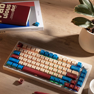 Akko MOD007B-HE Wireless Magnetic Switch Keyboard Mechanical Keyboard