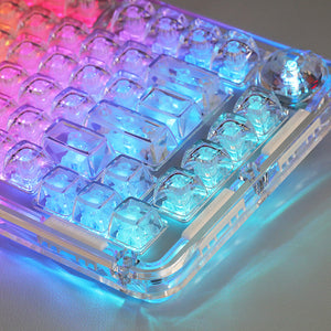 WhatGeek x FirstBlood B81 Crystal Transparent Wirelss Mechanical Keyboard