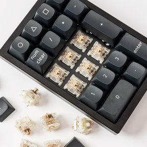 Gateron Baby Raccoon Linear Switches