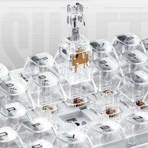 Machenike K500F-B81 RGB Clear Mechanical Keyboard