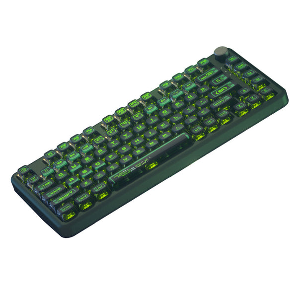 PIIFOX Binary ASA Profile PBT Keycap Set 117 Keys