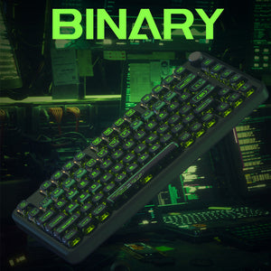 PIIFOX Binary ASA Profile PBT Keycap Set 117 Keys