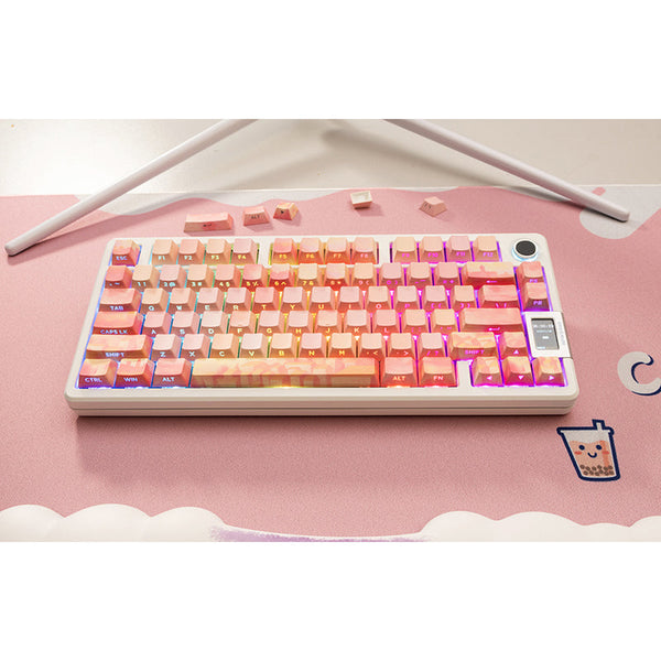 PIIFOX CKC-02 Pink Oil Painting OEM Profile Keycap Set 130 Keys