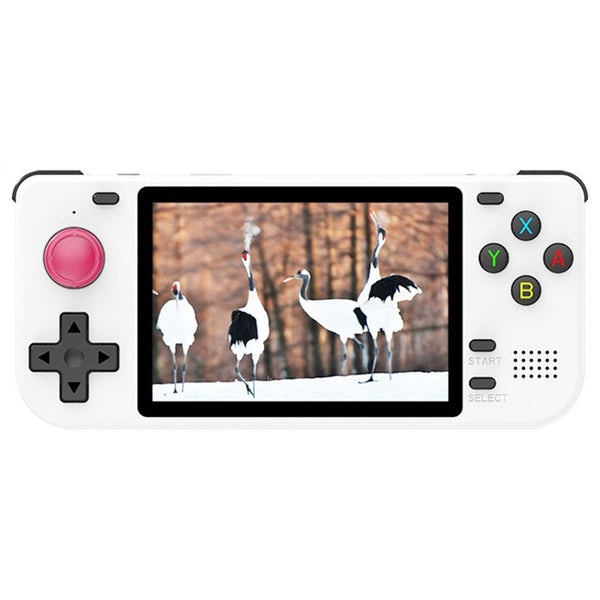 Powkiddy RGB10S Handheld Game Console