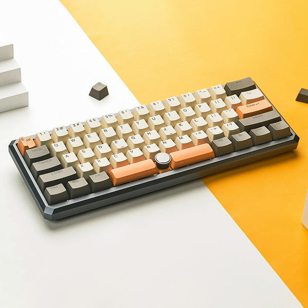 SKYLOONG GK61 Pro Mechanical Keyboard With Split Spacebar