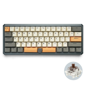SKYLOONG GK61 Pro Mechanical Keyboard With Split Spacebar