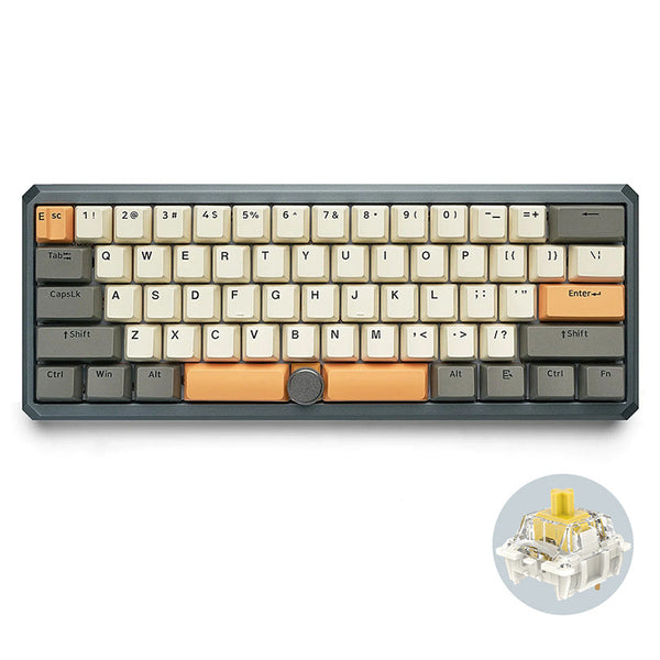 SKYLOONG GK61 Pro Mechanical Keyboard With Split Spacebar