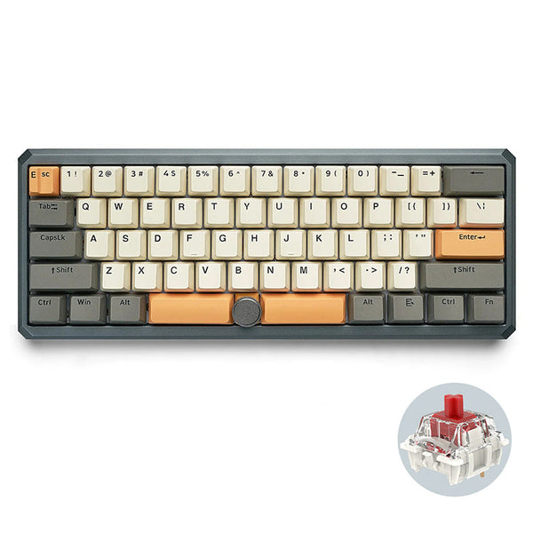 SKYLOONG GK61 Pro Mechanical Keyboard With Split Spacebar