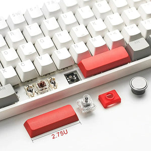 SKYLOONG GK61 Pro Mechanical Keyboard With Split Spacebar